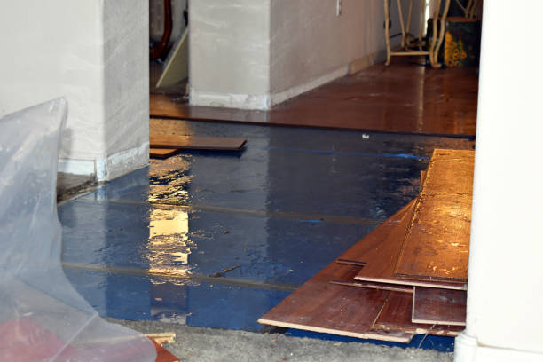 Professional Flood Damage Restoration technician working in Erie, CO